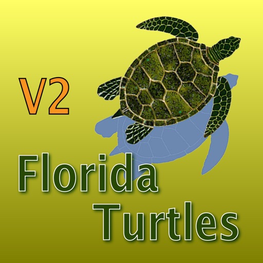 Florida Turtles