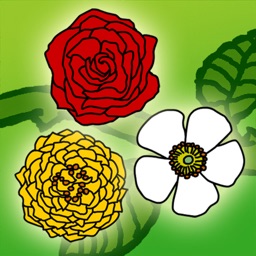 Rose Puzzle