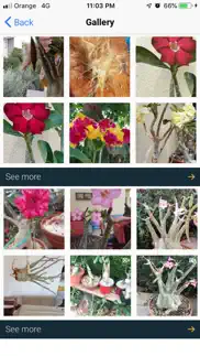 my adeniums - adenium care iphone screenshot 2