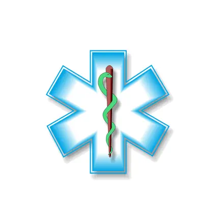 SVH EMS Protocols 2021 Читы