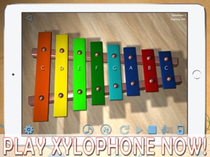i-XyloPhone Fun HD - PRO screenshot #1 for iPad
