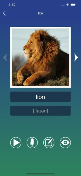 Game screenshot EnWordCard - English Word Card hack
