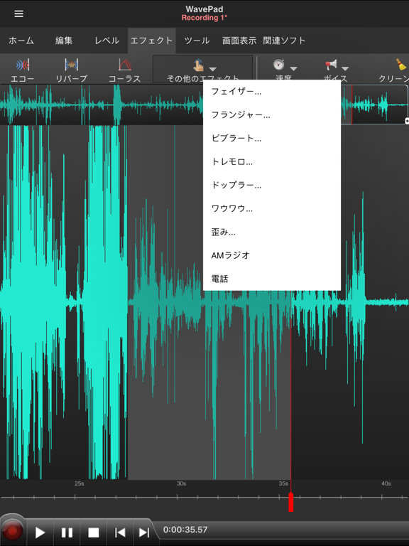 WavePad音声編集ソフト iPad screenshot 6 - Music app