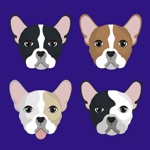 Download My French Bulldog app