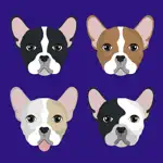 My French Bulldog App Problems