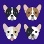 My French Bulldog app download