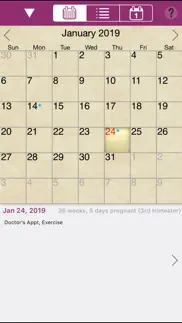 ipregnant lite iphone resimleri 4
