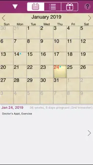 IPregnant Lite iphone bilder 3