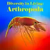 Diversity in Living:Arthropoda App Feedback