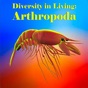 Diversity in Living:Arthropoda app download