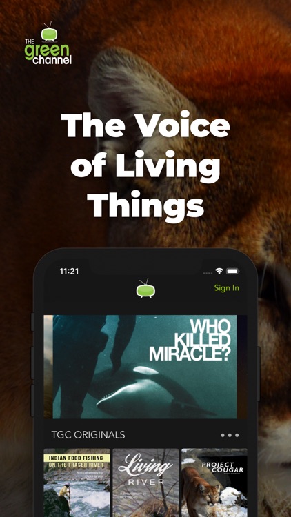 The Green Channel TV screenshot-3