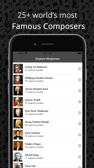 Classical Music Song Ringtones screenshot 2