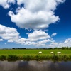 Het Weer in Nederland HD - iPadアプリ