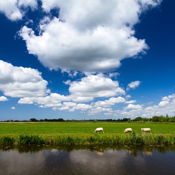 Het Weer in Nederland HD