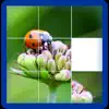 Photo Logic Game