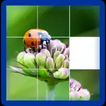 Photo Logic Game App Alternatives
