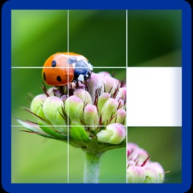 螢幕擷取畫面 (4) Photo Logic Game
