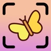 Butterfly Identifier (NA) icon