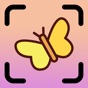 Butterfly Identifier (NA) app download
