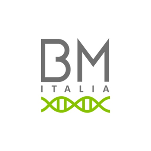 BM Italia