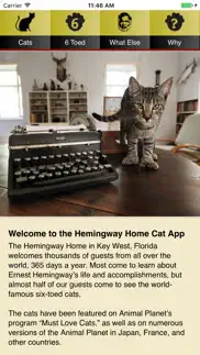 hemingway cats iphone screenshot 1