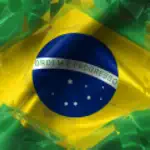 Brazilian Hands App Contact