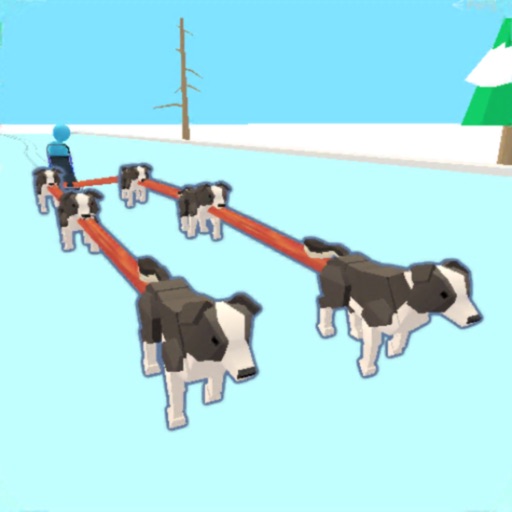 Dog Sled Runner