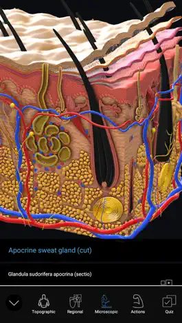 Game screenshot 3D Organon Anatomy Enterprise mod apk