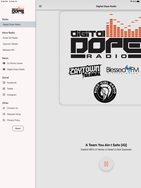 Digital Dope Radio Station iPad screenshot 3 - Music app