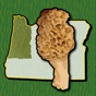 Oregon NW Mushroom Forager Map app download