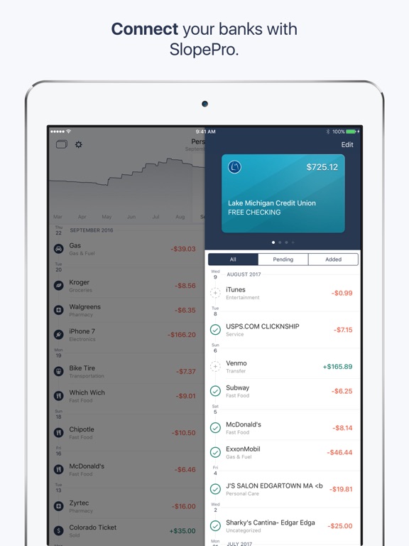 Slope - Finance Tracker iPad screenshot 4 - Finance app