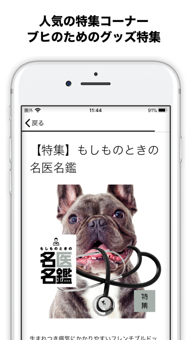 French Bulldog Life Screenshot