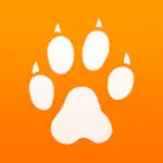 SeeingSpot App Positive Reviews