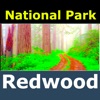 Redwood National Park – GPS icon