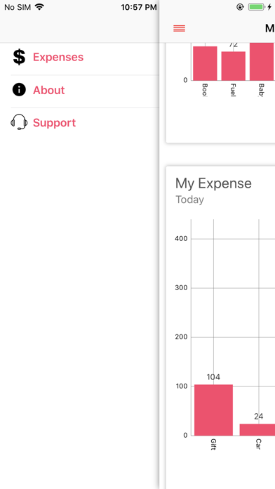 Screenshot #3 pour Daily Expense Record