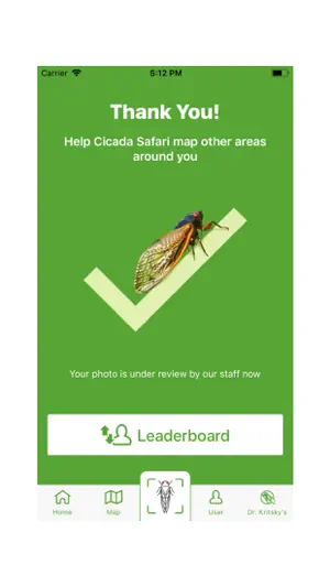 Cicada Safari screenshot 4