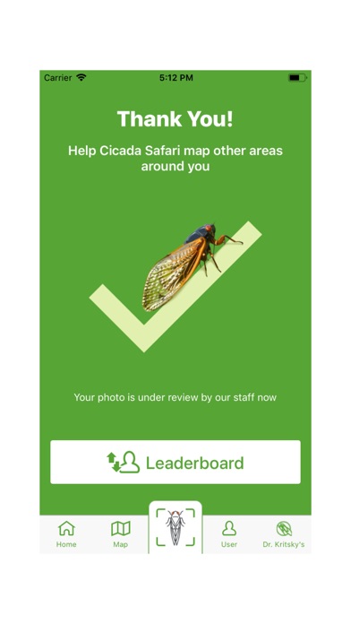Cicada Safari Screenshot