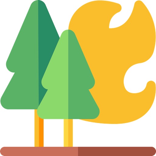 Air Quality Index at Present