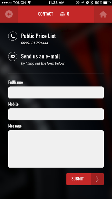 Bridgestone Dealers in Lebanon Screenshot