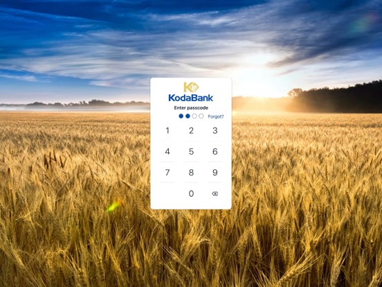 KodaMobile iPad screenshot 1 - Finance app