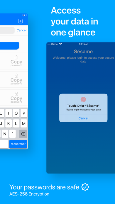Sésame secure Password Manager Screenshot