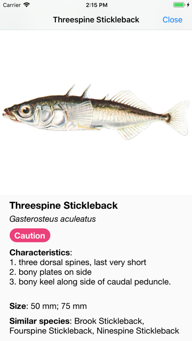 Baitfish Primer Screenshot