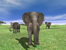 Game screenshot Wildlife Animal Zoo of 3D Pets apk