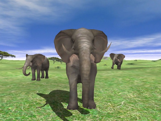 Wildlife Animal Zoo of 3D Pets iPad app afbeelding 2
