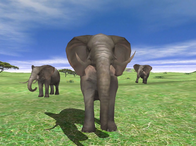 Wildlife Animal Zoo of 3D Pets