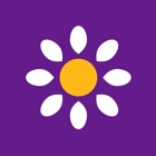 Bellis - Tilbud på oplevelser