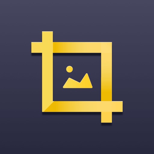 水印大师-视频图片编辑专家