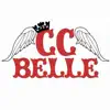 CC Belle problems & troubleshooting and solutions