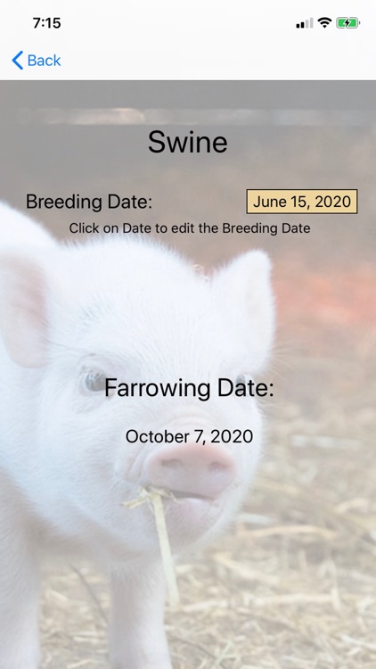 Livestock Gestation Calculator