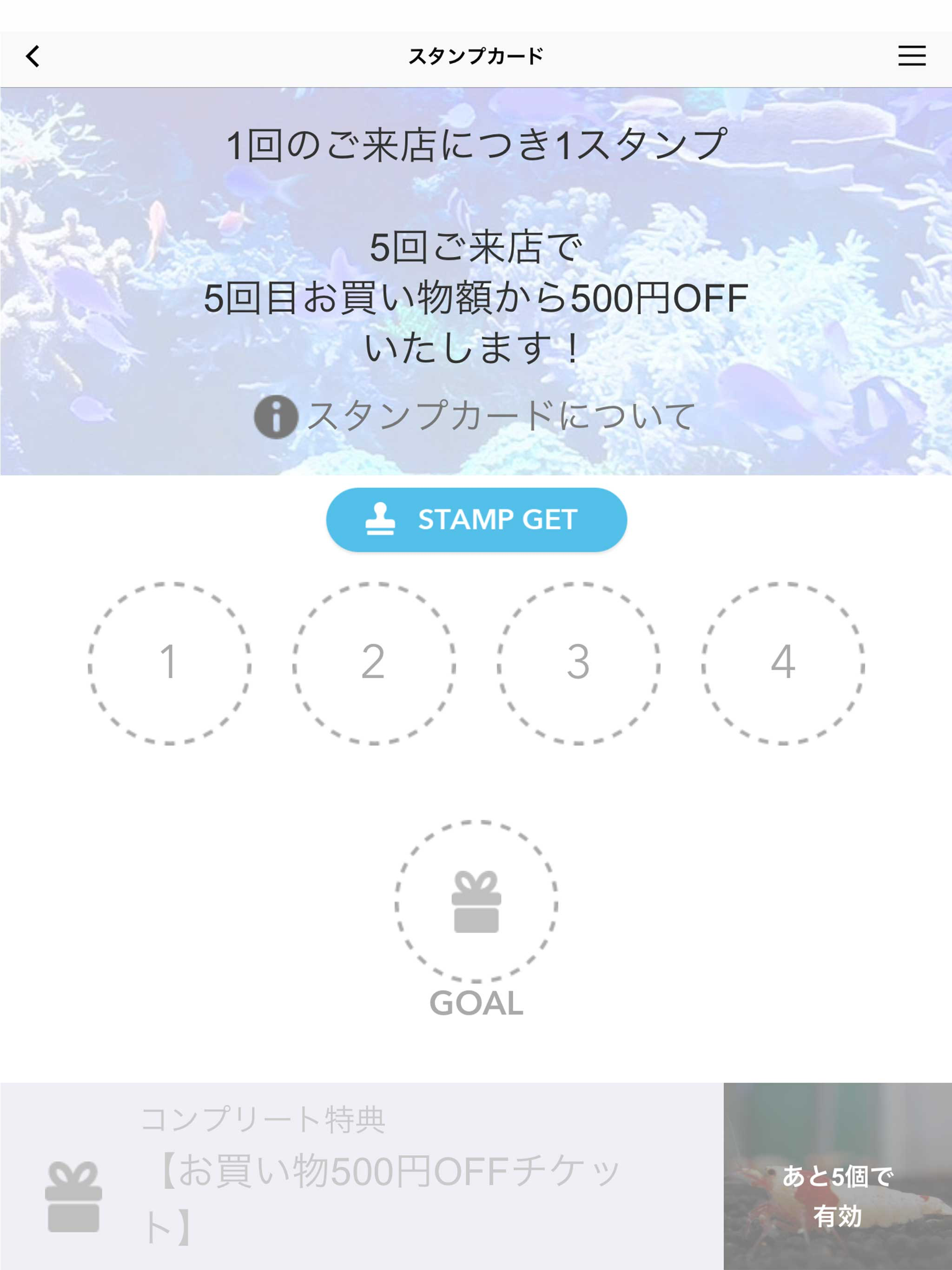 PET BALLOON（ペットバルーン）